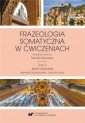 okładka książki - Frazeologia somatyczna w ćwiczeniach.