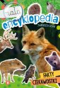 okładka książki - Mała encyklopedia. Zwierzęta leśne