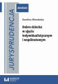 okładka książki - Jurysprudencja 20/2022. Dobro dziecka