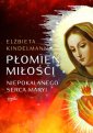 okładka książki - Płomień Miłości Niepokalanego Serca