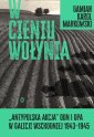 okładka książki - W cieniu Wołynia. Antypolska akcja