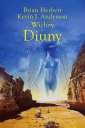 okładka książki - Wichry Diuny