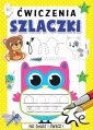 okładka książki - Ćwiczenia Szlaczki