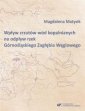 okładka książki - Wpływ zrzutów wód kopalnianych