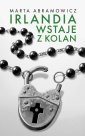 okładka książki - Irlandia wstaje z kolan