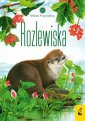 okładka książki - Młodzi przyrodnicy. Tom 13. Rozlewiska