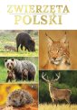 okładka książki - Zwierzęta Polski