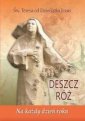 okładka książki - Deszcz róż. Na każdy dzień roku