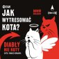 pudełko audiobooku - Jak wytresować kota? Diabły, nie