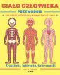 okładka książki - Ciało człowieka. Przewodnik dla