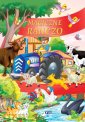 okładka książki - Magiczne ranczo