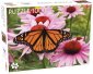 zdjęcie zabawki, gry - Puzzle Monarch Butterfly 1000