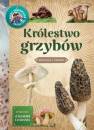 okładka książki - Królestwo grzybów