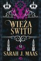 okładka książki - Szklany tron. Tom 6. Wieża świtu