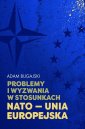 okładka książki - Problemy i wyzwania w stosunkach