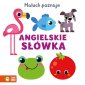 okładka książki - Maluch poznaje. Angielskie słówka