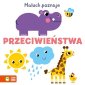 okładka książki - Maluch poznaje. Przeciwieństwa