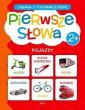 okładka książki - Pierwsze słowa. Zabawa z fotonaklejkami.