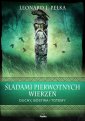 okładka książki - Śladami pierwotnych wierzeń. Duchy,