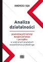 okładka książki - Analiza działalności powiatowych