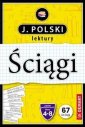 okładka podręcznika - Ściągi. J. Polski lektury. Klasy