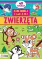 okładka książki - Zwierzęta. Koloruję i naklejam