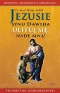 okładka książki - Jezusie synu Dawida ulituj się