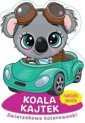 okładka książki - Zwierzakowe kolorowanki. Koala