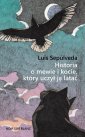 okładka książki - Historia o mewie i kocie, który