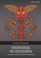 okładka książki - Odchodząc od złudzenia Gnoza jogi