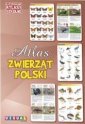 okładka książki - Ilustrowany atlas szkolny. Atlas