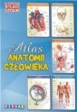 okładka książki - Ilustrowany atlas szkolny.Atlas