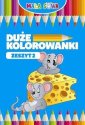 okładka książki - Mała sowa. Duże kolorowanki Zeszyt