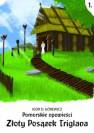okładka książki - Pomorskie opowiesci 1. Złoty posążek