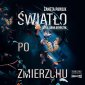 pudełko audiobooku - Światło po zmierzchu