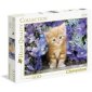 zdjęcie zabawki, gry - Puzzle 500 HQ Ginger cat