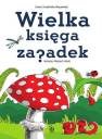 okładka książki - Wielka księga zagadek