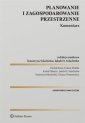 okładka książki - Planowanie i zagospodarowanie przestrzenne