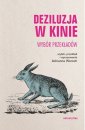 okładka książki - Deziluzja w kinie. Wybór przekładów