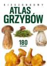 okładka książki - Kieszonkowy atlas grzybów. 180