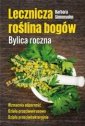 okładka książki - Lecznicza roślina bogów. Bylica
