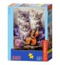 zdjęcie zabawki, gry - Puzzle 260 Musical Kittens CASTOR