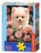 zdjęcie zabawki, gry - Puzzle 60 Pomeranian Puppy in Roses