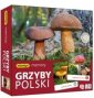 zdjęcie zabawki, gry - Grzyby Polski