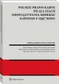 okładka książki - Polskie prawo karne po 25 latach