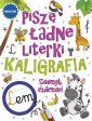 okładka książki - Piszę ładne literki. Kaligrafia