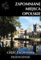 okładka książki - Zapomniane miejsca Opolskie część