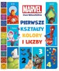 okładka książki - Pierwsze kształty, kolory i liczby