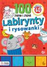 okładka książki - Labirynty i rysowanki. Ponad 100