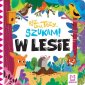 okładka książki - Raz, dwa, trzy szukam! W lesie